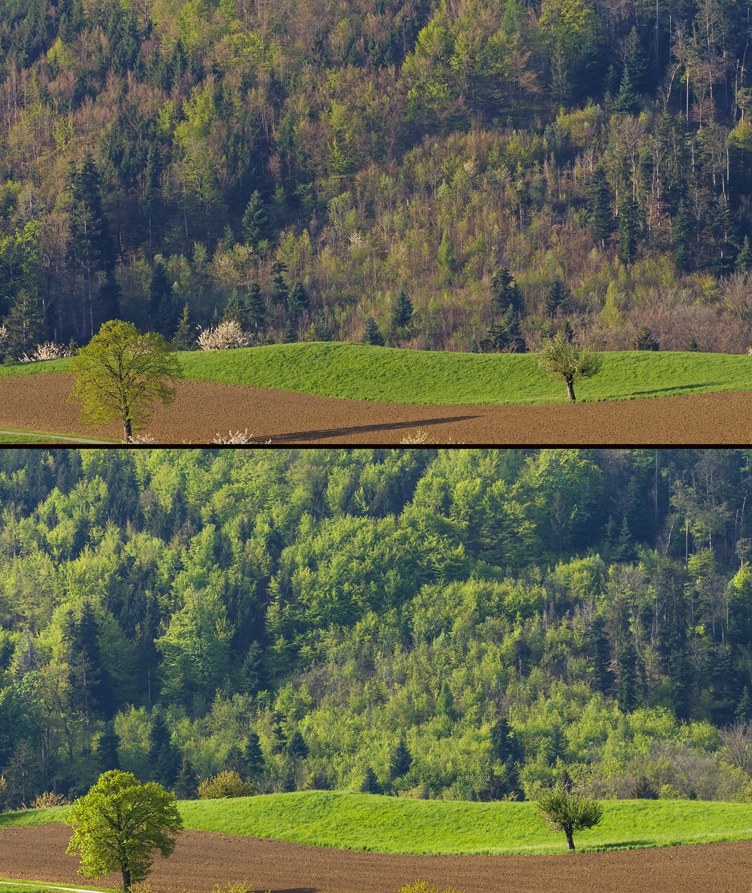 CO2 Fire Extinguisher